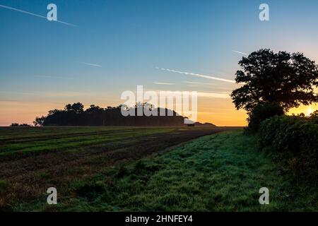 Dawn su un campo in Sussex, in un giorno di settembre Foto Stock