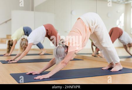 Fitness, sport e stile di vita sano concetto - donna che fa yoga verso il basso cane posa sul tappeto Foto Stock