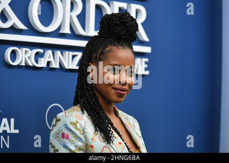 Danielle Moné Truitt partecipa al "Law & Order" Press Junket della NBC allo Studio 525 il 16 febbraio 2022 a New York. Foto Stock