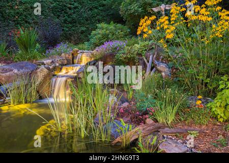 Rudbeckia laciniata gialla - scultura di uccelli di confiori e airone accanto allo stagno con Acorus gramineus 'Variegatus' - Rush giapponese variegato. Foto Stock