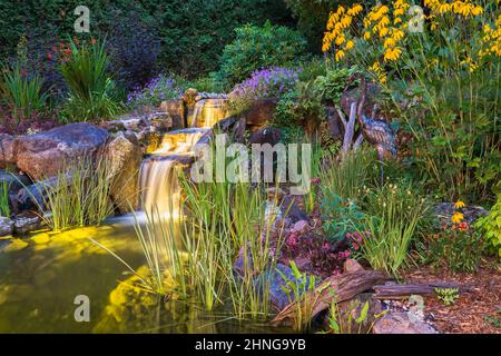 Rudbeckia laciniata gialla - scultura di uccelli di confiori e airone accanto allo stagno con Acorus gramineus 'Variegatus' - Rush giapponese variegato. Foto Stock