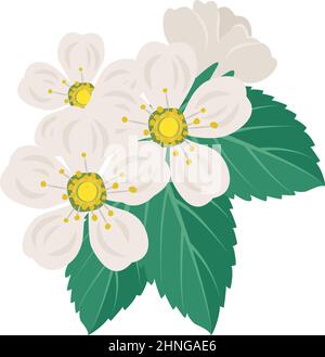 Fiori di ciliegio bianco su ramo con foglie. Decorazione primaverile, piante di alberi da frutto in fiore. Illustrazione piatta vettoriale Illustrazione Vettoriale