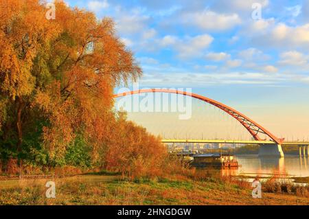 La riva del fiume OB. Ponte ad arco di Bugrinsky sulle rive sabbiose del fiume alla periferia di una grande città in autunno d'oro. Novosibirsk, Sibe Foto Stock