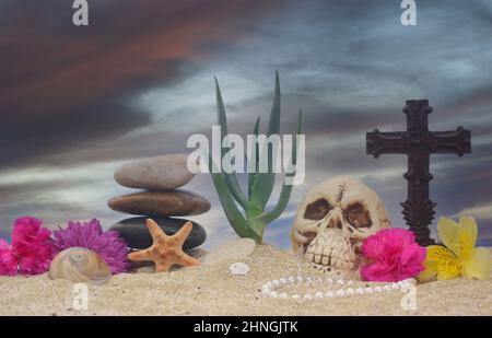Pianta di Aloe con fiori e cranio su sabbia con cielo Foto Stock