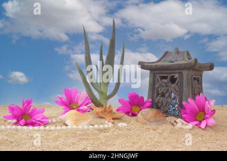 Ancora vita con Pagoda e Aloe, Fiori e conchiglie di mare sulla spiaggia Foto Stock