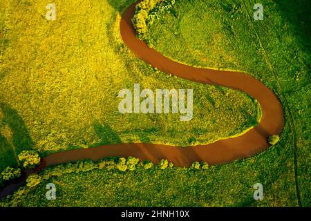 Scena accattivante della valle del fiume da una vista dall'alto. Luogo di ubicazione Seret canyon, Ucraina, Europa. Fotografia aerea, fuco. Perfetto Foto Stock