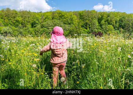 Bambino giovane felice che cammina attraverso il prato dei fiori in primavera in una giornata di sole Foto Stock