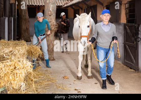 Donna più anziana che conduce il cavallo lungo le bancarelle all'aperto mentre giovane donna che accatastano il fieno Foto Stock