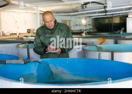 Trota di controllo maschile che cresce in piscine Foto Stock