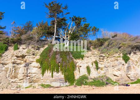 Pettt Level, East Sussex, Regno Unito Foto Stock