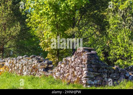 Vecchia casa rovina da lussureggianti alberi verdi un'estate soleggiata Foto Stock