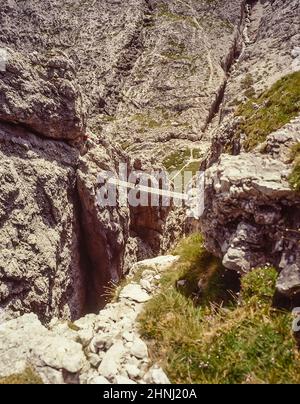 Questo gruppo di giovani adulti è in fase di avvicinamento finale al ponte che attraversa la gola sul tratto finale della Via ferrata Klettersteig Brigata Tridentina sentiero protetto che conduce al Rifugio Pisciadu nel Gruppo di montagne del Sella non lontano dal Passo Gardena-Groednerjoch Le Dolomiti italiane dell'Alto Adige. Foto Stock