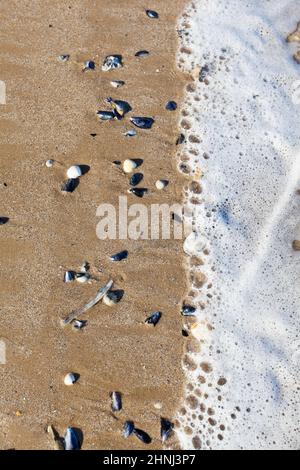 Le onde schiumose incontrano la spiaggia sabbiosa, primo piano vista astratta Foto Stock