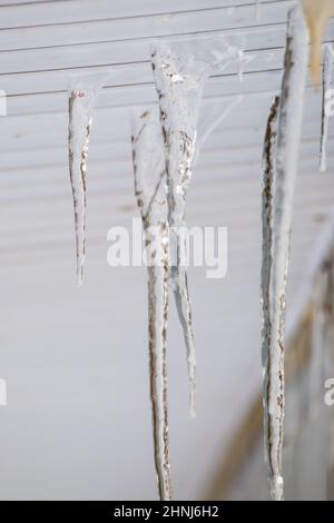 Le ghiacciole congelate pendono sotto la visiera in plastica del bordo del tetto. Su sfondo chiaro. Grandi cascate, anche belle file. Nuvoloso giorno d'inverno, luce tenue. Foto Stock