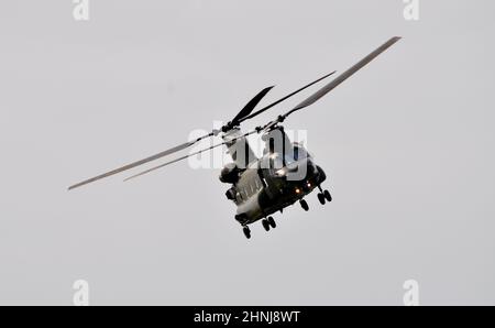 Un elicottero Royal Air Force Chinook che pratica manovre sui campi di Aldbrough, East Yorkshire, Inghilterra Foto Stock
