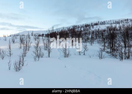 Area escursionistica. Midtre Kaldslett. Tromsø/Norvegia Foto Stock