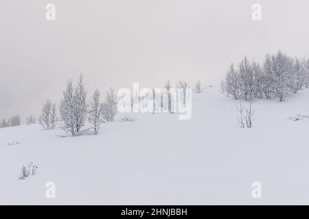 Area escursionistica. Midtre Kaldslett. Tromsø/Norvegia Foto Stock