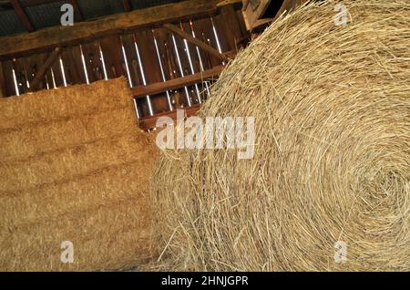 Primo piano di balle rotonde e quadrate di fieno in un vecchio granaio di legno Foto Stock