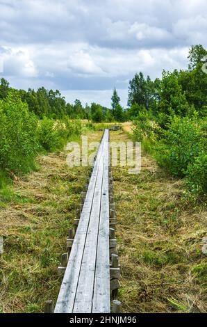 Un sentiero sopraelevato, costituito da tavole di legno, conduce attraverso un'area naturale presso il lago Vänern, vicino a Mellerud, Dalsland, Västra Götalands Län, Svezia. Foto Stock