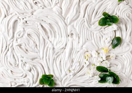 Piccolo bello Kalanchoe fiori bianchi e foglie verdi su bianco floreale ornato panno in ceramica. Vista dall'alto sfondo floreale Foto Stock