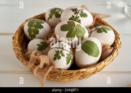 Uova di Pasqua con erbe loro attaccate, pronte per essere tinte con bucce di cipolla Foto Stock