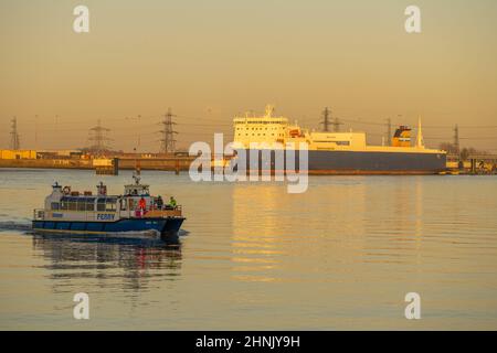 Norsky Ro-Ro traghetto ormeggiato a Tilbury 2 da Gravesend Kent con Tilbury traghetto in primo piano Foto Stock