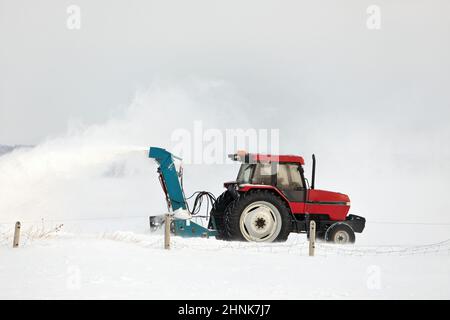 Red Tractor Snow che soffia un vialetto in un ambiente rurale Foto Stock