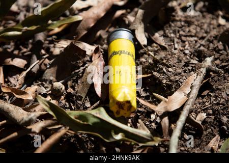 Guscio di munizioni giallo scaricato Foto Stock