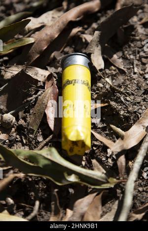 Guscio di munizioni giallo scaricato Foto Stock
