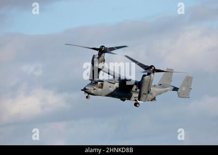 08-0049 Bell-Boeing CV-22B Osprey in volo a RAF Mildenhall, Suffolk. Foto Stock