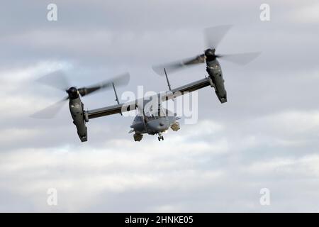 08-0049 Bell-Boeing CV-22B Osprey in volo a RAF Mildenhall, Suffolk. Foto Stock