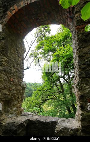 Le rovine del castello di Neckarburg vicino a Rottweil Foto Stock