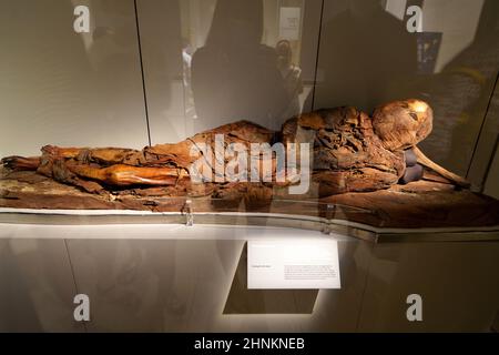 TORINO, ITALIA - 19 AGOSTO 2021: Mummia in posizione menzogna. Mummificazione di un corpo durante la civiltà egizia, Museo Egizio di Torino, Italia Foto Stock