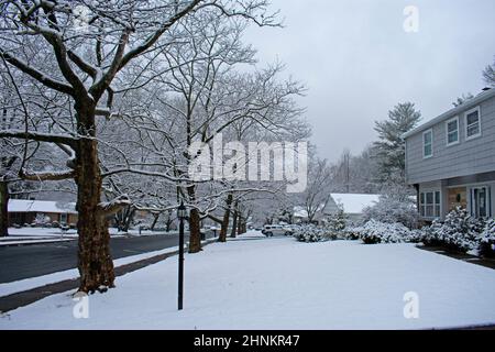 La neve leggera scolpisce i rami vuoti di una fila di alberi di sicomoro nella città suburbana di Old Bridge, New Jersey -15 Foto Stock