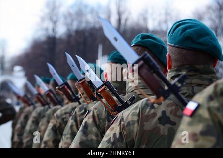 Esercito polacco durante la sfilata Foto Stock