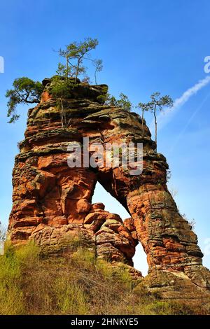 Schwalbenfelsen nel Dahn Rock Country Foto Stock