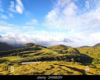 La fonte naturale di erbe alpine è Shangshan a Taipei City, Taipei City, Taiwan Foto Stock