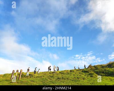 La fonte naturale di erbe alpine è Shangshan a Taipei City, Taipei City, Taiwan Foto Stock