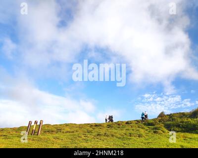 La fonte naturale di erbe alpine è Shangshan a Taipei City, Taipei City, Taiwan Foto Stock