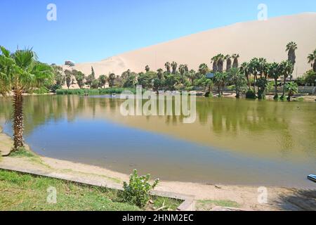 Laguna naturale di Huacachina città oasi circondata da file di palme e sorprendente duna di sabbia, Ica regione, Perù, Sud America Foto Stock