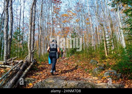 Un gruppo di turisti che camminano lungo un sentiero forestale Foto Stock