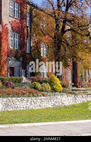 Cracovia, Polonia - 25 ottobre 2021: Castello reale di Wawel in un giorno d'autunno soleggiato, facciata di edificio con foglie colorate di vino selvatico super super super Foto Stock