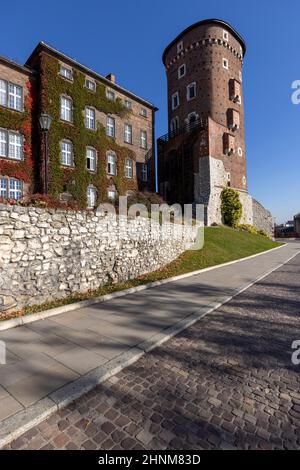 Cracovia, Polonia - 25 ottobre 2021: Castello reale di Wawel in un giorno d'autunno soleggiato, facciata di edificio con foglie colorate di vino selvatico super super super Foto Stock