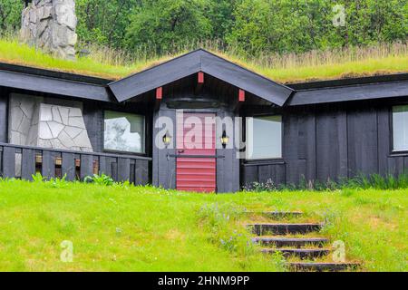 Capanna in legno nero con tetto in paglia a Hemsedal, Norvegia. Foto Stock