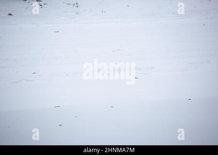 Tracce di pneumatici poco profonde su una strada innevata pericolosa Foto Stock