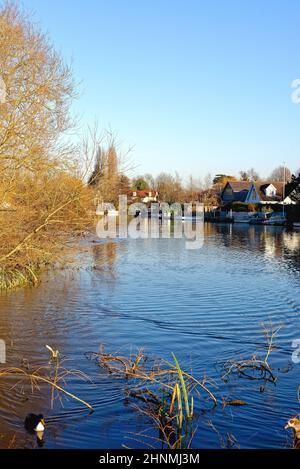 Il lungofiume di Shepperton su un giorno freddo e soleggiato degli inverni Surrey Inghilterra Regno Unito Foto Stock