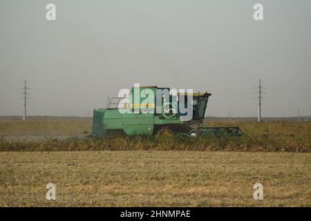 Raccolta della soia da combina nel campo. Foto Stock