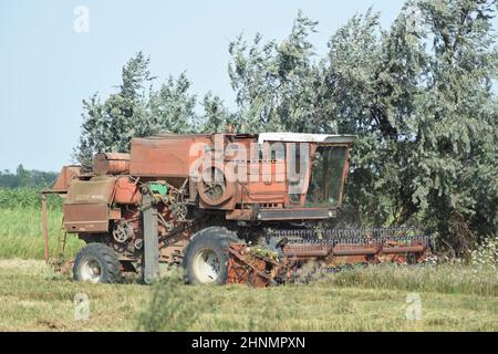 Vecchio arrugginito mietitrebbia. Foto Stock