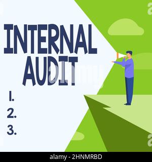 Segno di testo che mostra Internal Audit, Business Approach valuta l'efficacia dei controlli e dei processi businessman Drawing Standing in Cliff US Foto Stock