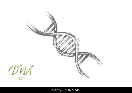 Concetto di riscaldamento globale. Illustrazione disegnata a mano della struttura della molecola di DNA. Ricerca genetica e chimica illustrazione vettoriale isolata. Foto Stock